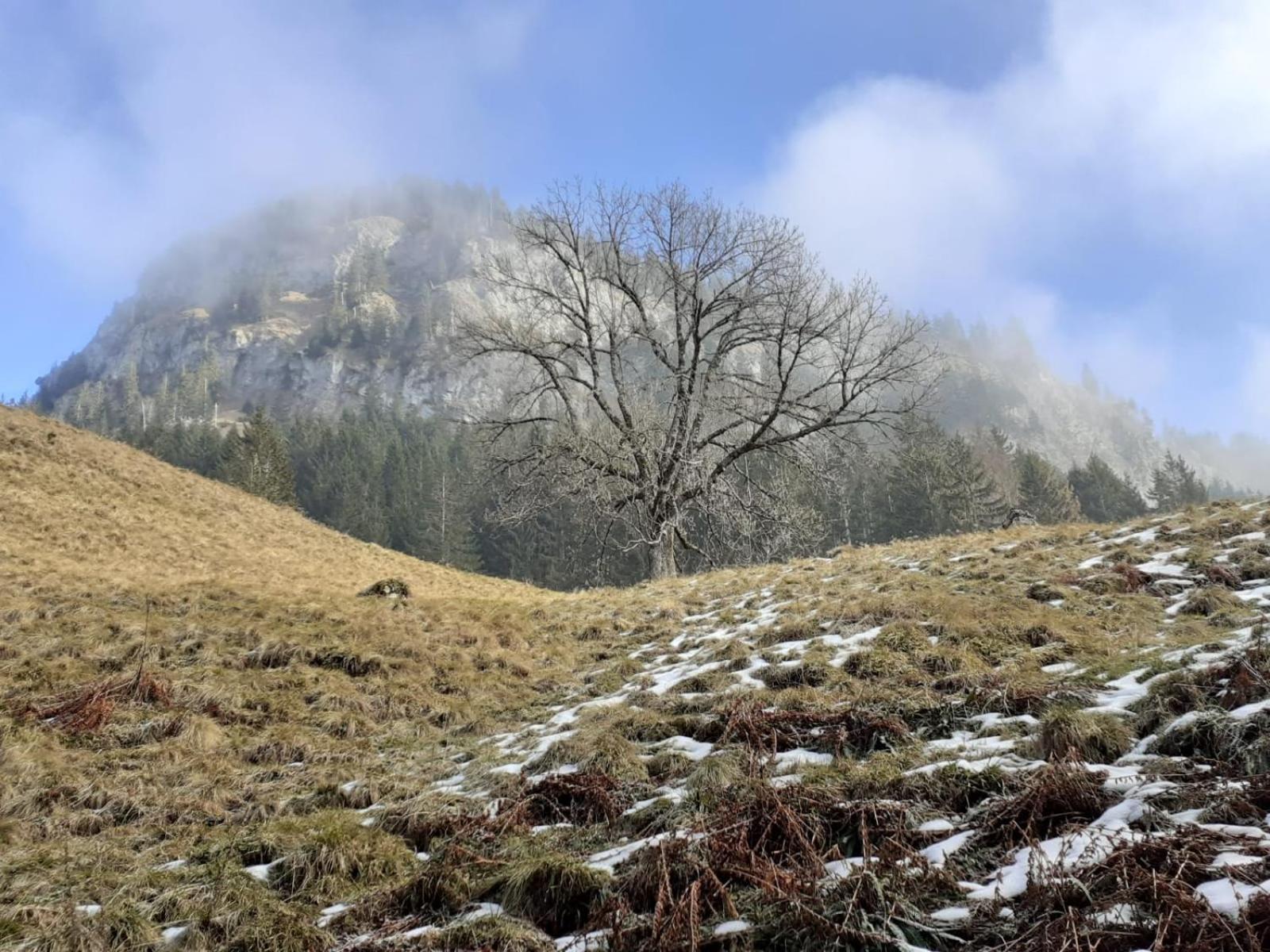Berggasthof Sonne Allgaeu Sonthofen Bagian luar foto